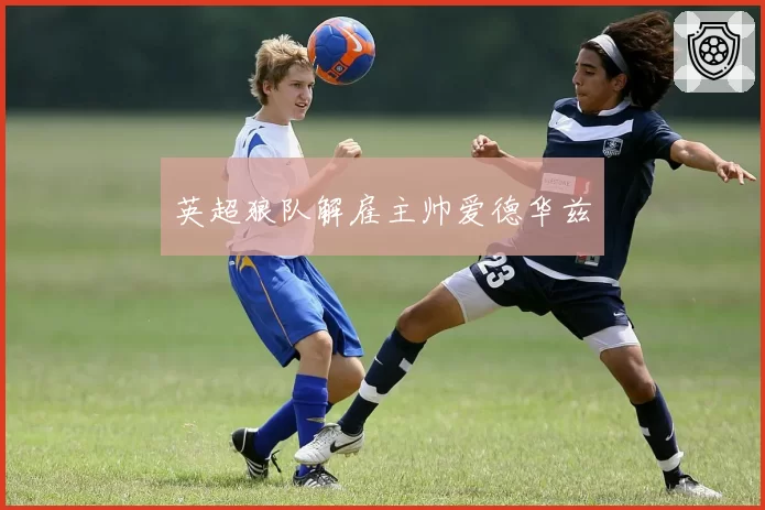 英超狼队解雇主帅爱德华兹