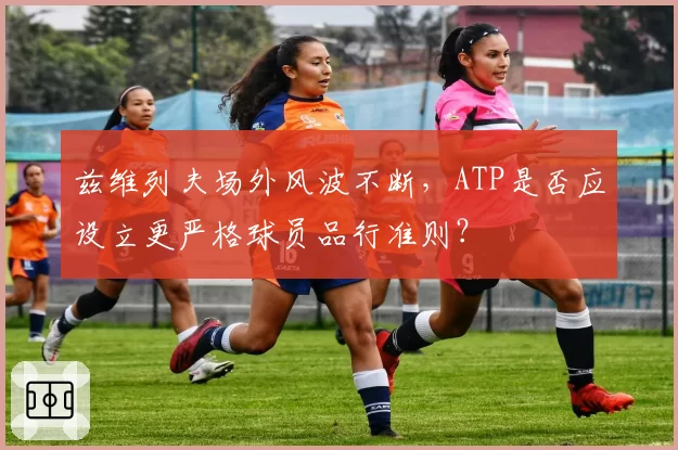 兹维列夫场外风波不断，ATP是否应设立更严格球员品行准则？