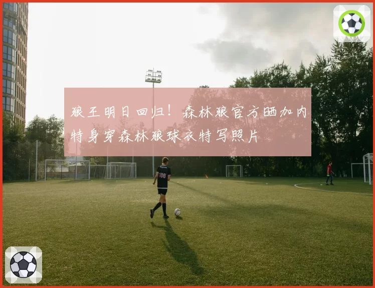 狼王明日回归！森林狼官方晒加内特身穿森林狼球衣特写照片