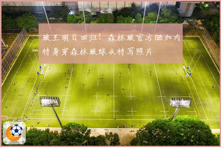 狼王明日回归！森林狼官方晒加内特身穿森林狼球衣特写照片