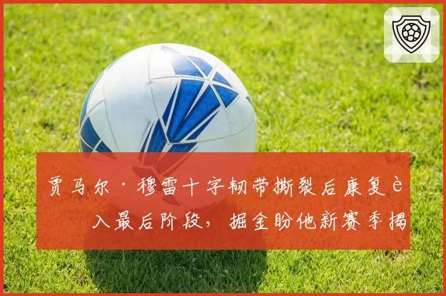 贾马尔·穆雷十字韧带撕裂后康复进入最后阶段，掘金盼他新赛季揭幕战登场