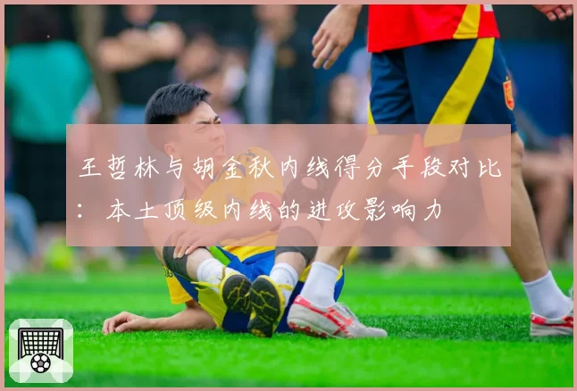 王哲林与胡金秋内线得分手段对比：本土顶级内线的进攻影响力