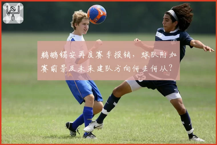 鹈鹕锡安再度赛季报销,球队附加赛前景及未来建队方向何去何从?