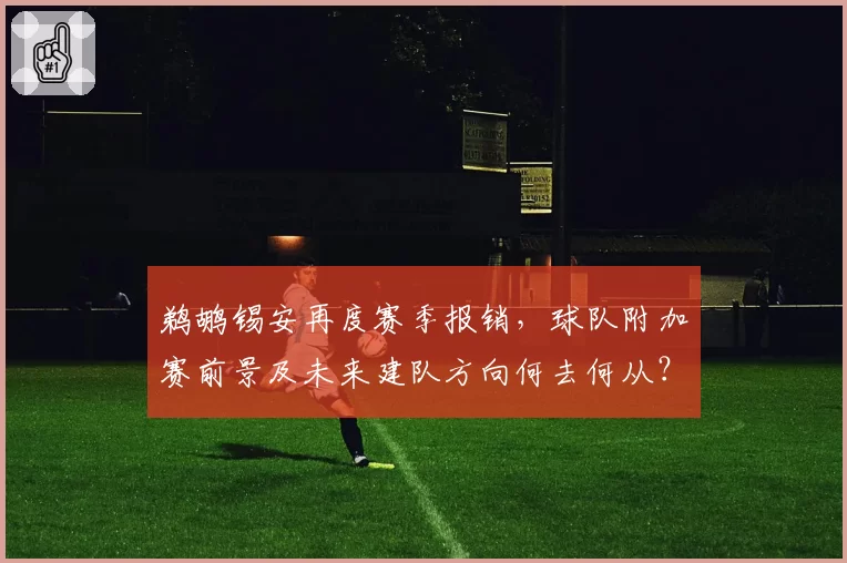 鹈鹕锡安再度赛季报销,球队附加赛前景及未来建队方向何去何从?