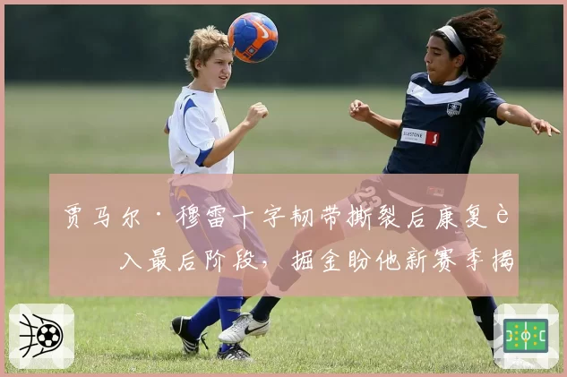 贾马尔·穆雷十字韧带撕裂后康复进入最后阶段，掘金盼他新赛季揭幕战登场