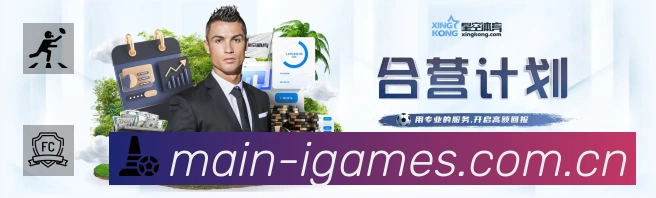 全球访问热力分布图